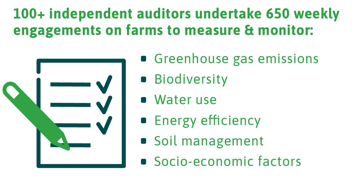 100 independent auditors