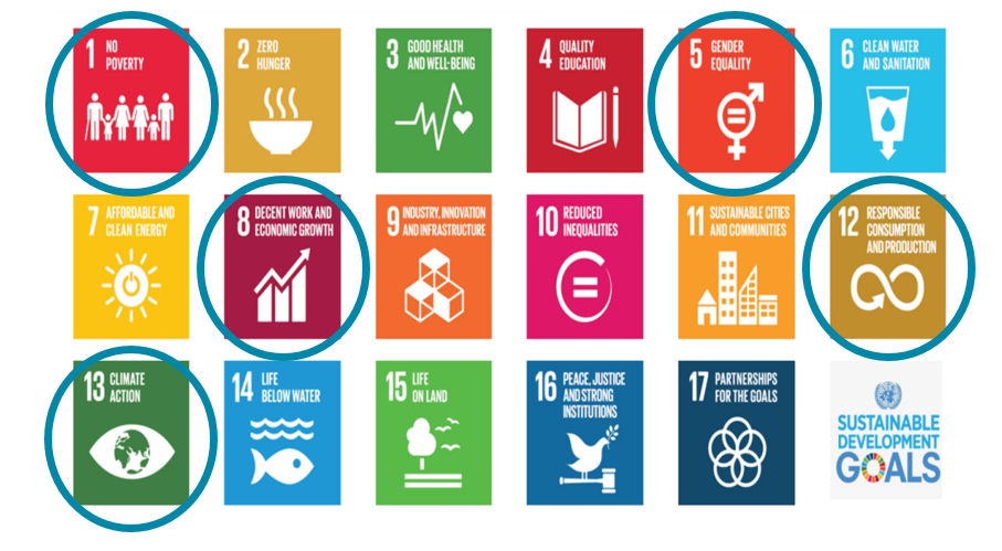 UN Sustainable Development Goals